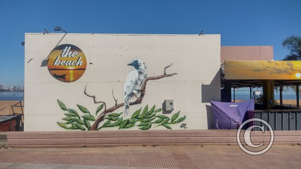 IMG_20230513_103638469_HDR