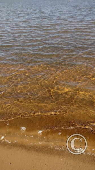 IMG_20230515_120314500_HDR