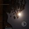 full moon (2)
