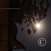 full moon