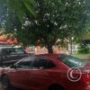 IMG_20230425_153445013_HDR