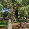 IMG_20230426_134342565_HDR