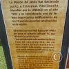 IMG_20230619_121628137_HDR