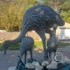 IMG_20230624_152143246_HDR