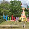 Hohenau sign