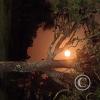 full moon (5)
