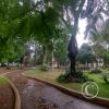IMG_20230507_133204630_HDR