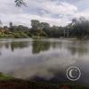 IMG_20230508_111417247_HDR