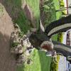 Plaza de Armas at Jiron Lima and Jiron Junin (2)