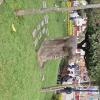 Plaza de Armas (8)