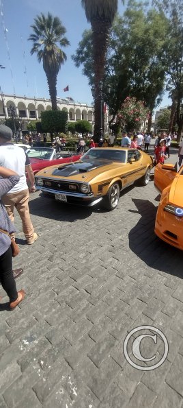 Car show for Mustangs in the Plaza de Armas (3)