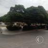 Plaza de Atico Capital (3)