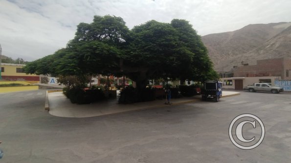 Plaza de Atico Capital (3)