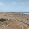 The beach (2)