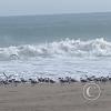 The beach (5)