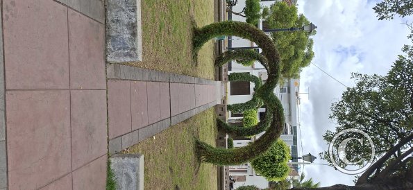 Alameda Marquez de Valdelirios (6)