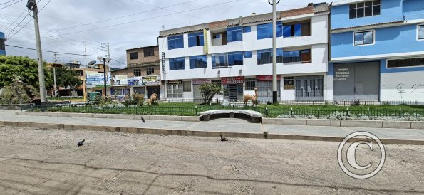 Greenspace in road Jiron Jose Santos Chocano at Jiron Gonzales Prada