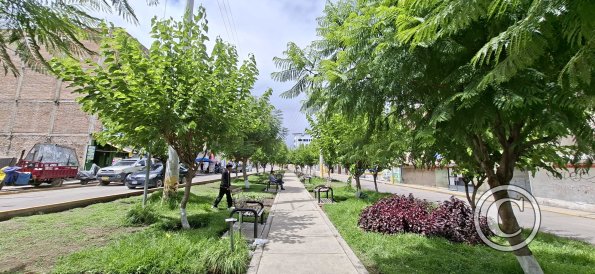 Park space inside split road Av Los Incas