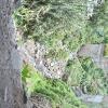 Puente Sotoqchaca