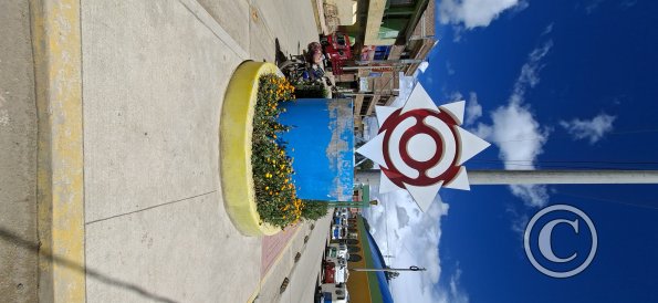 Av Benavides