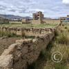 Century-old Adobe wall with ichu grass