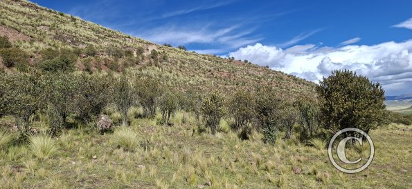 Gravel road up to the Mirador (4)