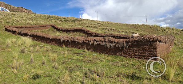 Inca family home-animal enclosure (2)
