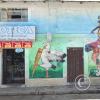 Mural on Jiron Cusco near Jiron 2 de Mayo (10)