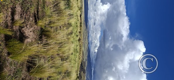 View from the Mirador (7)