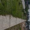 IMG_20250721_131152031_HDR