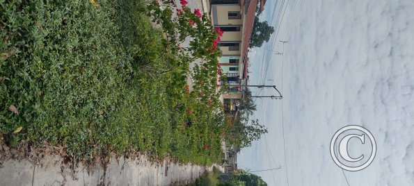 IMG_20250721_131640352_HDR