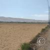 View from Av. Adolfo Medina Vera (Av. 9 de Noviembre) y Jiron Vallecito (3)
