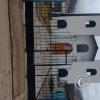 IMG_20250728_062433349