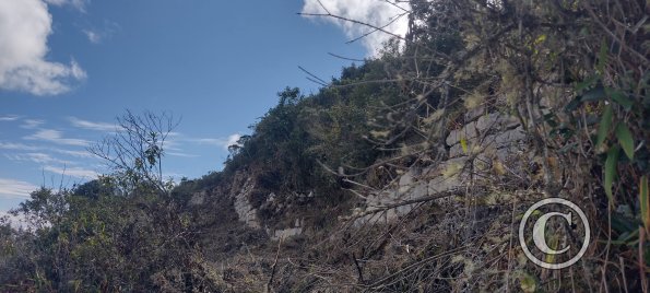 IMG_20250726_100725251_HDR