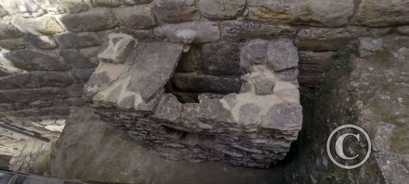 IMG_20250726_104447183_HDR