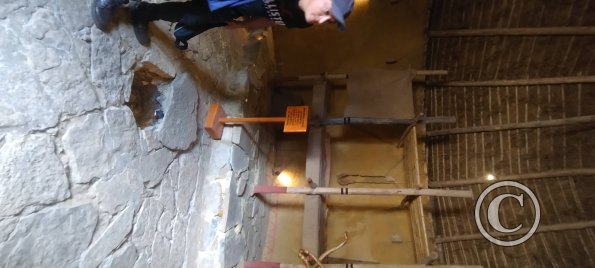 IMG_20250726_120221071