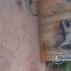 IMG_20250725_152459250