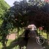 Castillo de Chancay (11)