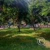 Parque Bardelli one block from Calle Capitan Peralta y Calle Bardelli (2)