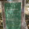 Paseo Yortuque Etapa 3 - Av. Victor Raul Haya de la Torre y Av. Chinchaysuyo (17)