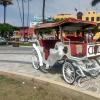 Plaza de Armas (4)