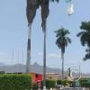 Plaza de Armas (2)