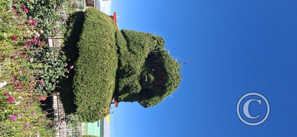 Plaza Principal (9)