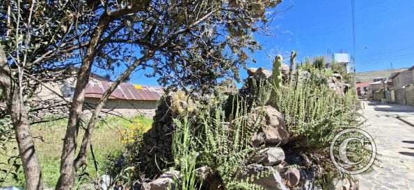 Remnants of a stone house (3)
