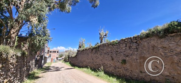 street scene (12)
