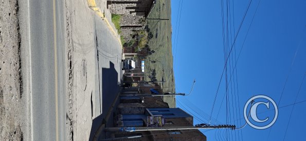 street scene (14)