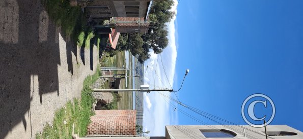 street scene (15)