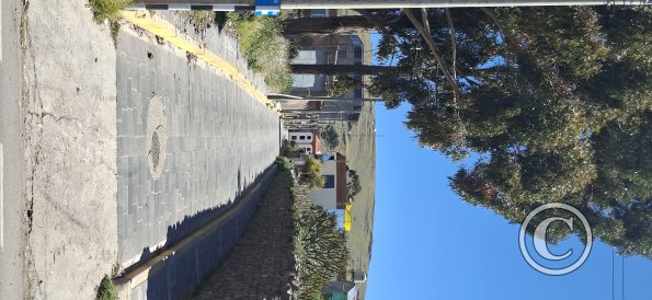 street scene (19)