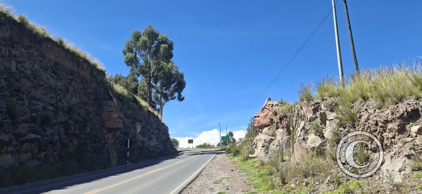 street scene (22)