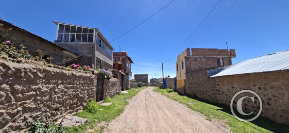 street scene (30)